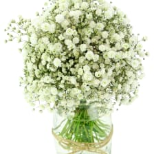 Snowfall White Mason Jar Vase