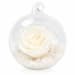 Preserved White Rose Orb - Standard