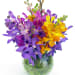 Orchid Fishbowl - Standard