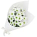 White Chrysanthemum Bunch - Standard