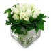 White Rose Vase - Deluxe