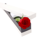 Valentine's Single Red Rose Box - Standard