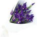 Blue Iris Flower Bouquet - Deluxe