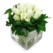 White Rose Vase - Deluxe