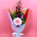 Daily Bouquet Floral Harmony - Standard