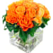 Orange Rose Vase - Deluxe