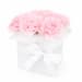 Little Carnation Flower Box   Pink - Standard
