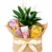 🤍🌿 Peaceful Pamper Moments Plant Hamper🌿🤍 - Standard