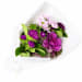 Blooming Fiesta Posy - Standard
