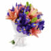 Lilies And Iris - Standard