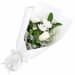 Delicate White Cascade - Standard
