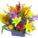 Making Magic Mixed Brights Posy Box - Deluxe