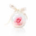 Preserved Pink Rose Orb - Standard
