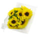 Sunflowers - Deluxe