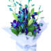 Blue Making Magic Posy Box - Standard