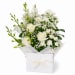 White Enchantment Box - Deluxe