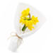 Daffodils Market Bunch - Standard