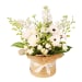 Paw Approved White Blossoms Hat Box - Standard