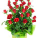 Red Rose Presentation Box - 24 Roses (Two Dozen)