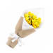 Spring Sunshine - Standard