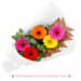 Mini Gerbera Gems Posy - Deluxe