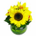 Citron Yellow Glass Fish Bowl Arrangement - Standard