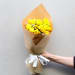 Spring Sunshine - Standard