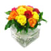 Mixed Bright Rose Vase - Standard