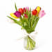 Terrific Tulips - Standard