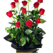 Presentation - 12 Roses (One Dozen)
