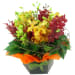 Orchid Garden - Standard