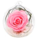 Preserved Pink Rose Orb - Standard