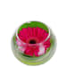 Gerbera Fishbowl Arrangement - Standard