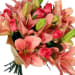 Lilies and Roses - Deluxe