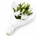 Fragrant White Oriental Lilies - Standard