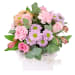 Cottage blooms - Standard
