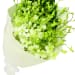 White Orchid Bunch - Premium