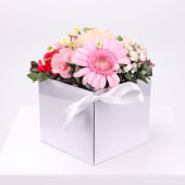 Mystery Mini Box Subscription 