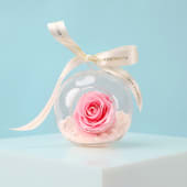 Preserved Pink Rose Orb