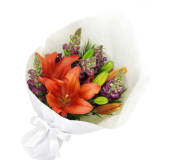 Snapdragons and Lilies