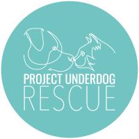 Project UnderDog Rescue logo