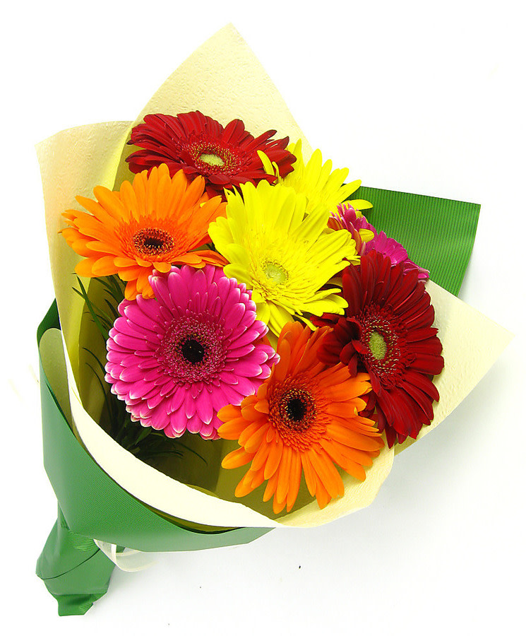 Gerberas | Flowers Delivered Melbourne