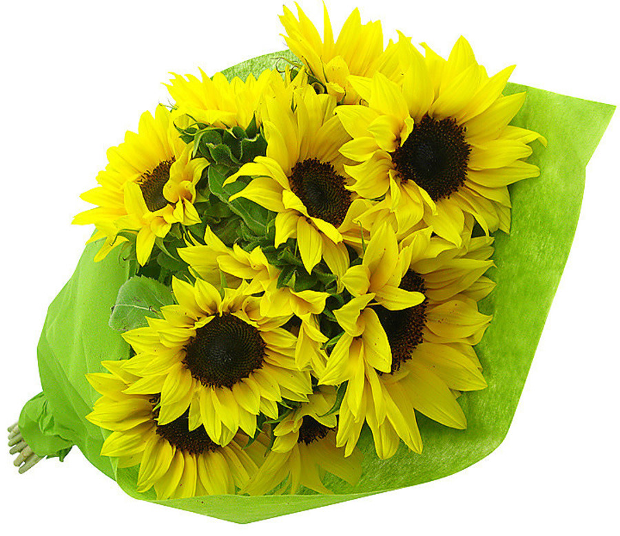 Sunflowers (Deluxe) Flowers Delivered Melbourne