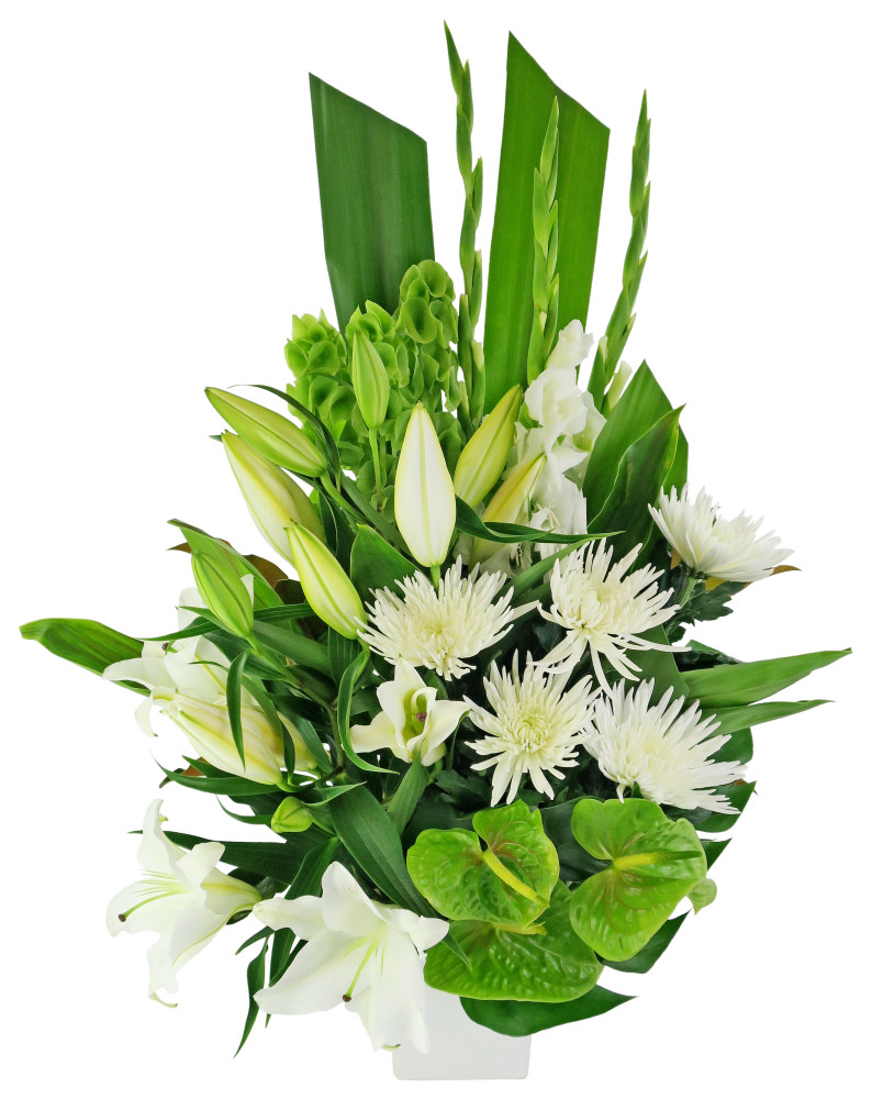 Efflorescence by Flowers Across Melbourne