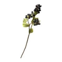 3 x  Blackberries