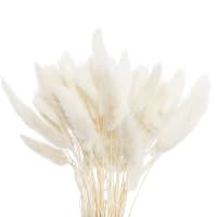 3 x White Preserved  Dried Bunny Tails