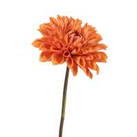 1 x Orange Dahlia