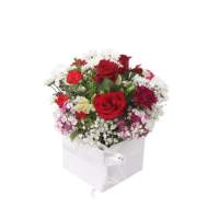 1 x  Valentines Red, White & Pink Premium Box