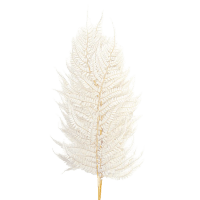 2 x White Preserved Leatherfern