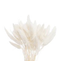 3 x Cream Preserved  Dried Bunny Tails